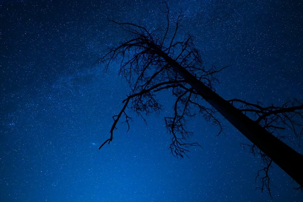 垂死の星の最期の輝き—宇宙望遠鏡が捉えた天文現象