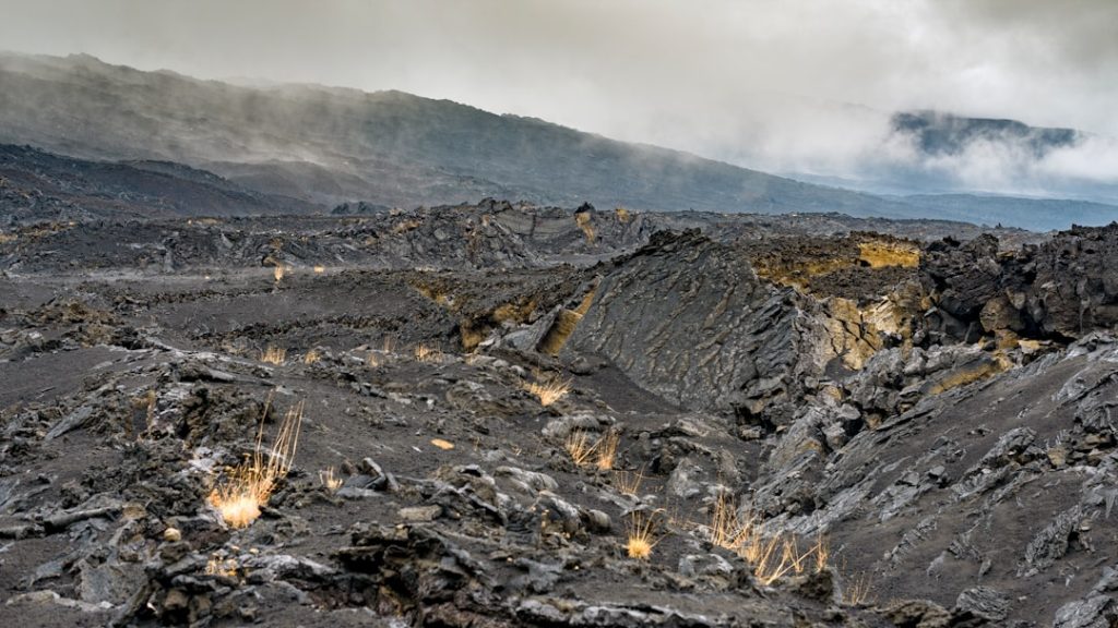 金星の火山活動はNASAが調査へ