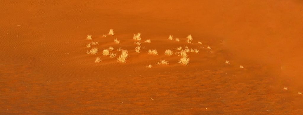 アポロ計画の未確認物体画像が再び話題、NASA公開資料の謎