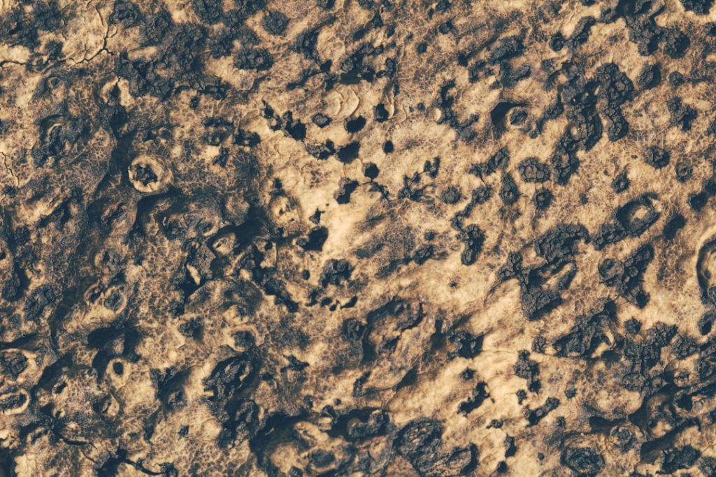 小惑星の表面物質は想定より軽い構造