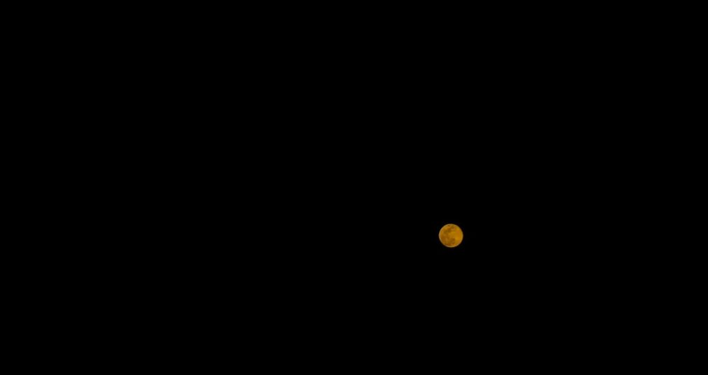 金星と木星の接近現象が示す太陽系の秘密