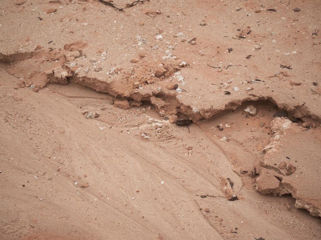 パーサヴィアランスが火星の岩石から有機炭素を検出