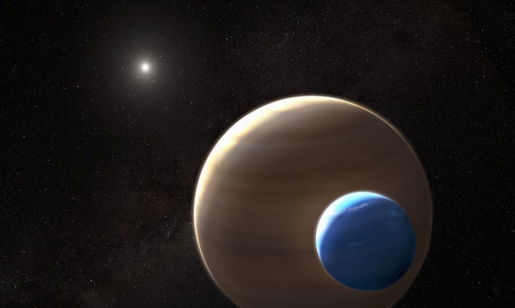 白色矮星の周囲で巨大ガス惑星が生存、惑星進化の常識を覆す