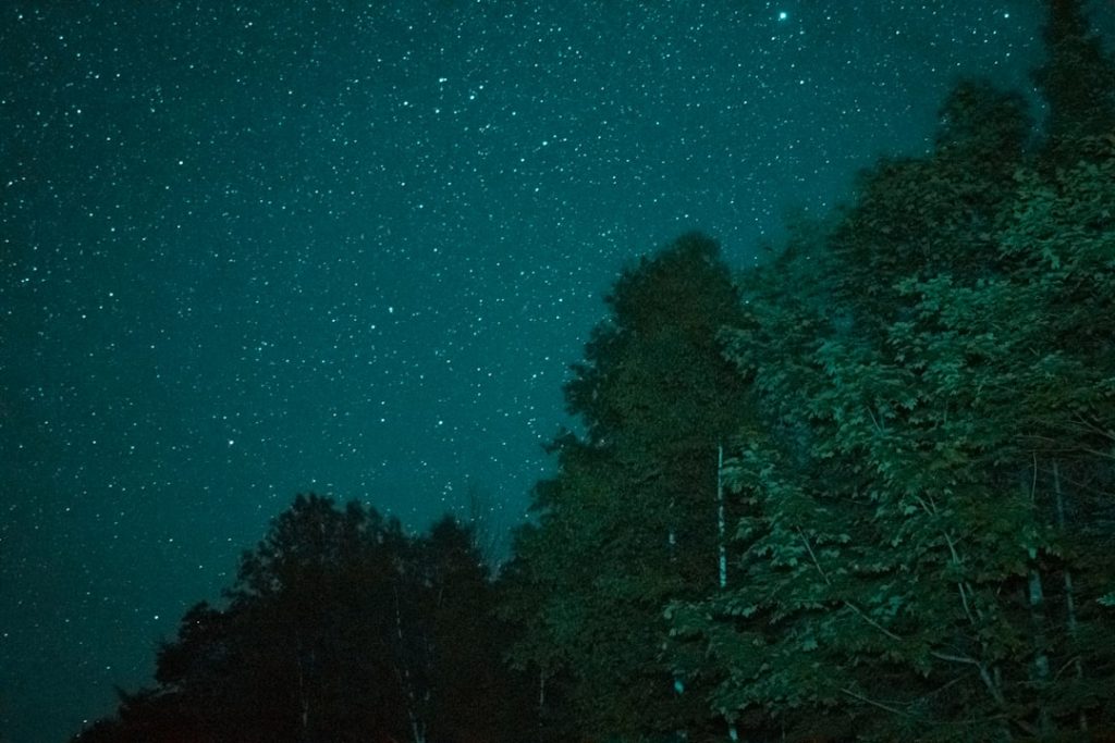 ペルセウス座以外の流星群6つ、夏の夜空を彩る