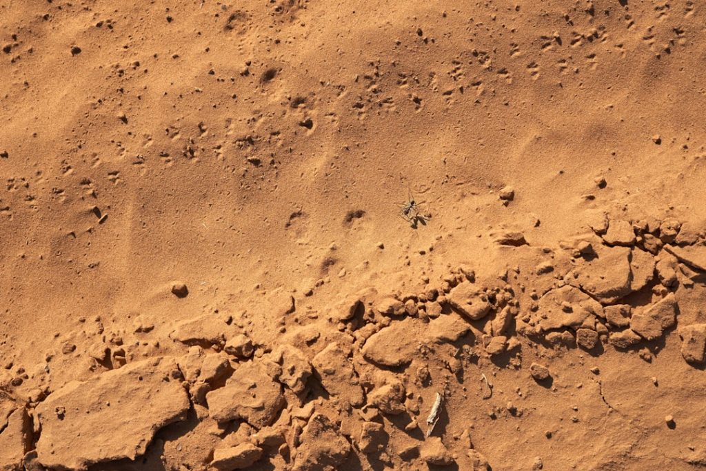 ラングレー研究所が支えた火星着陸、軌道力学と熱防御システム